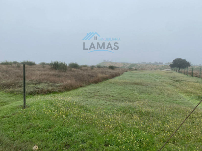 Finca Casatejada 189000 PA 0071