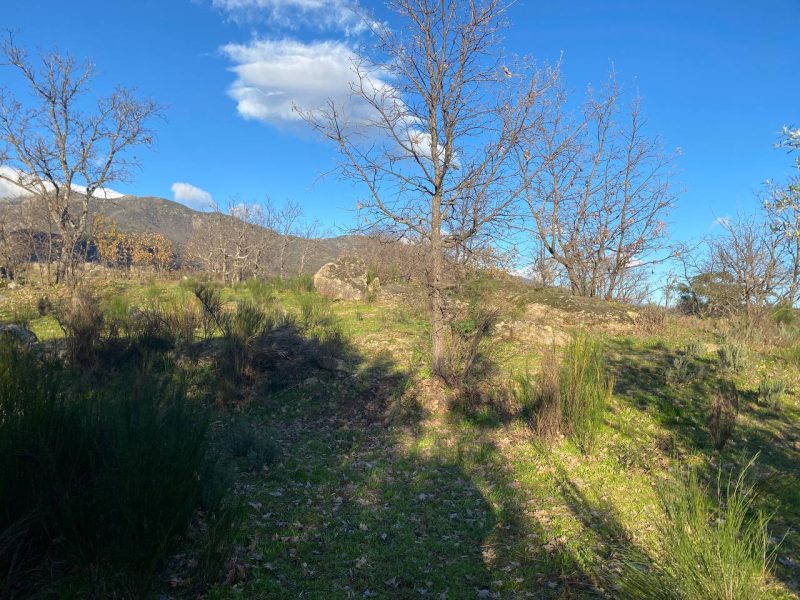 photo1674332293 (1)